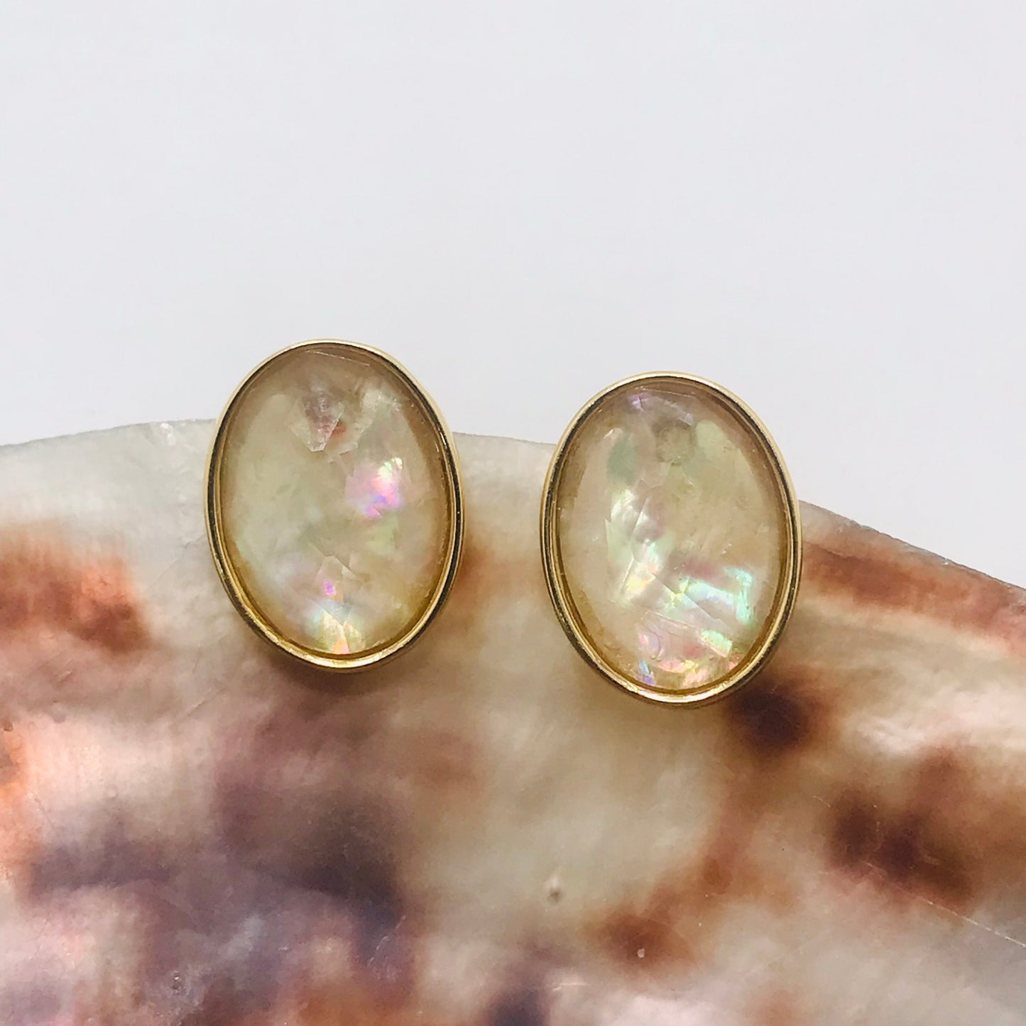 Arete Oval Concha Marina - Nautilus - Chapado en Oro